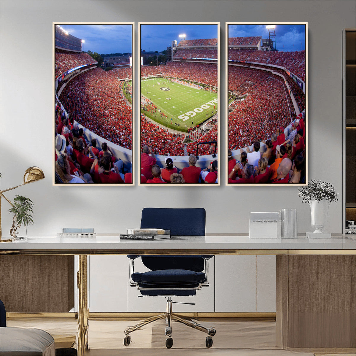 Dooley Stadium Wall Art, Sports Arena Canvas Print, Dooley