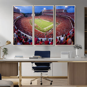 Dooley Stadium Wall Art, Sports Arena Canvas Print, Dooley
