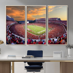 Dooley Stadium Wall Art, Sports Arena Canvas Print, Dooley