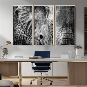 Wild Old Elephant Wall Art Canvas Print