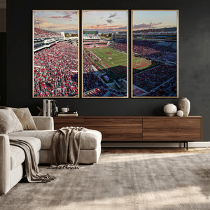 Donald W. Reynolds Razorback Stadium Wall Art Canvas Print –