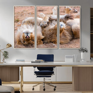 Lion Pair Wall Art Canvas Print – Framed Wildlife Scene with
