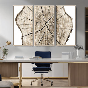 Abstract Wood Tree Ring Wall Art - Ready to Hang Minimalist