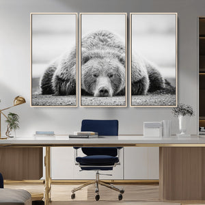 Resting Grizzly Bear Wall Art Canvas Print – Majestic Lazy