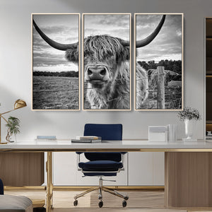 Scottish Highland Cow Wall Art Canvas Print | Ready to Hang