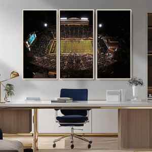 Wake Forest University Demon Deacons Canvas Printi, Football