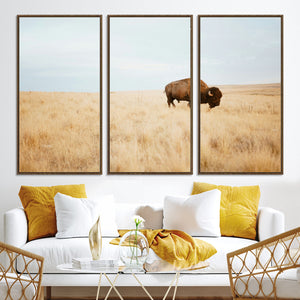Buffalo Wall Art Canvas Print – Framed Western Wildlife