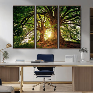 Majestic Ancient Tree Wall Art, NatureCanvas Print, Woodland
