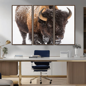 Bison Wall Art Canvas Print For Farmhouse, Wild Animal Wall
