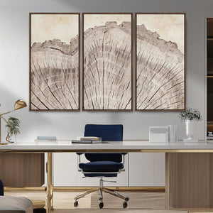 Tree Ring Wall Art Triptych, Rustic Wood Ring Canvas Print,