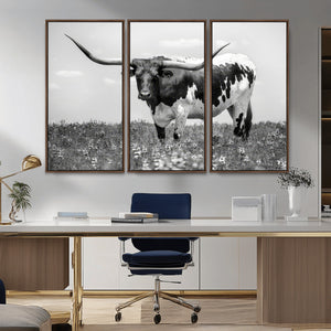 Texas Black White Highland Longhorn Cow Wall Art Canvas