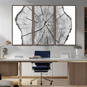 Rustic Tree Ring Wall Art Canvas Print – Framed and Ready to