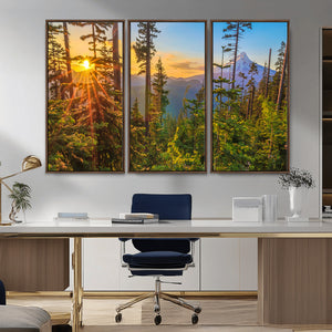 Forest Sunset Wall Art Canvas Print, Glowing Evening Light