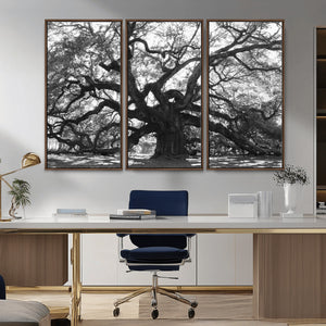Ancient Oak Wall Art Canvas Print, Majestic Twisted Branches