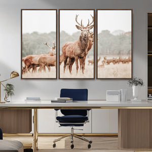 Rustic Nature Wall Art Canvas Print – Stag Woodland Framed