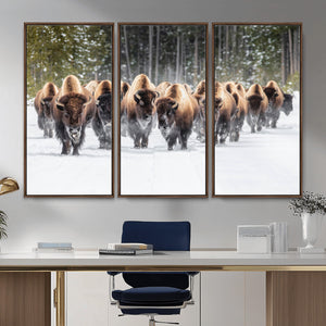 American Bison Herd Wall Art Canvas Print – Powerful Winter