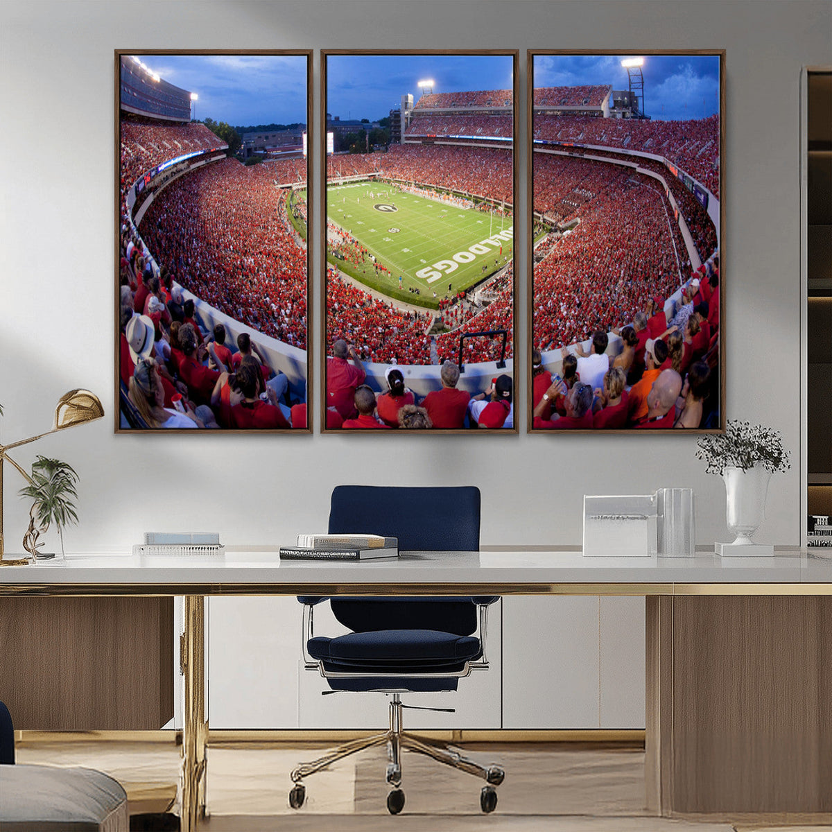 Dooley Stadium Wall Art, Sports Arena Canvas Print, Dooley