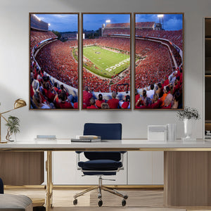 Dooley Stadium Wall Art, Sports Arena Canvas Print, Dooley