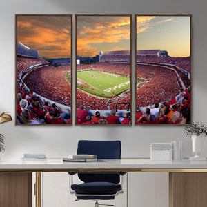 Dooley Stadium Wall Art, Sports Arena Canvas Print, Dooley
