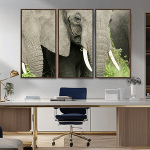 Wild Elephant Wall Art Canvas Print