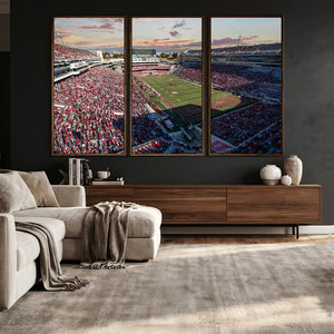Donald W. Reynolds Razorback Stadium Wall Art Canvas Print –