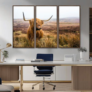 Scottish Highland Cow Canvas Wall Art – Rustic Farmhouse