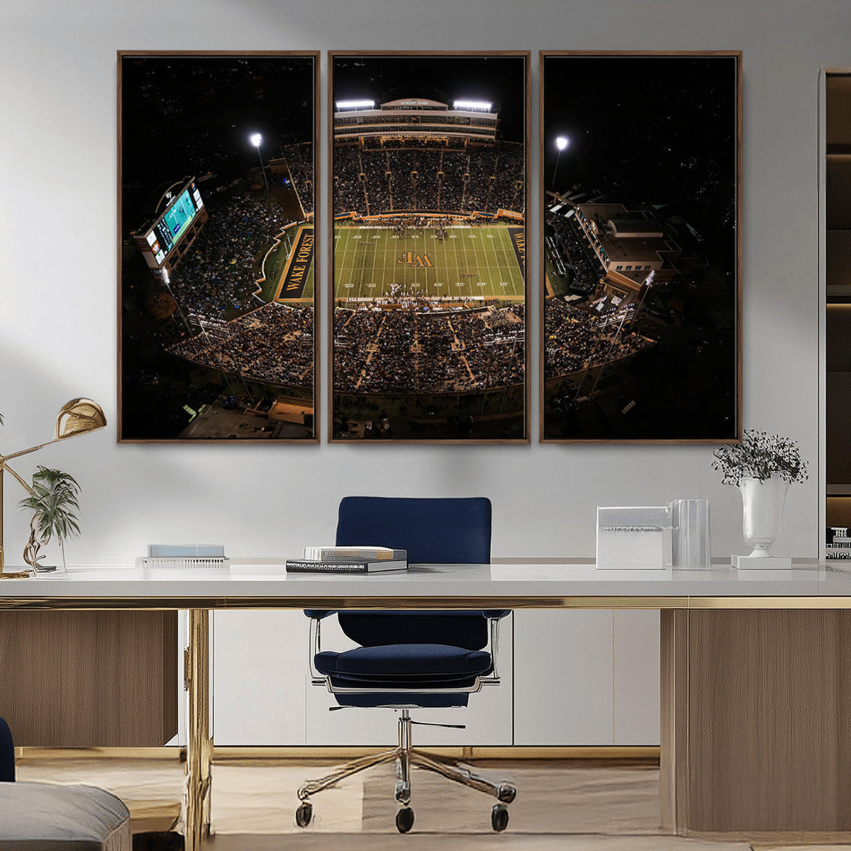 Wake Forest University Demon Deacons Canvas Printi, Football
