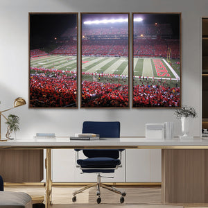 Rutgers University Scarlet Knights Football Team Print -