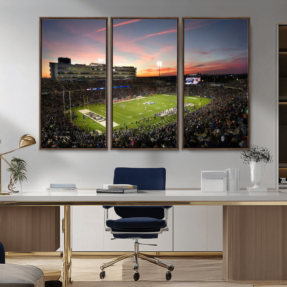 The University of Connecticut UCONN Huskies Football Team