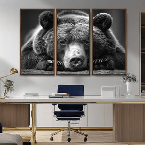 Resting Grizzly 399 Bear Canvas Print | Ready to Hang Wall