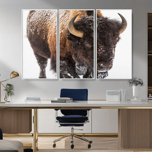 Bison Wall Art Canvas Print For Farmhouse, Wild Animal Wall