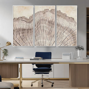Tree Ring Wall Art Triptych, Rustic Wood Ring Canvas Print,