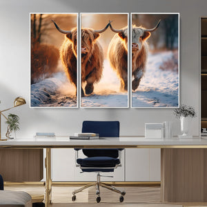Scottish Highland Cow Horn Farm Wall Art Canvas Print