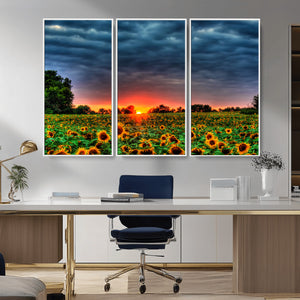 Golden Sunflower Field at Sunset – Breathtaking Sky and