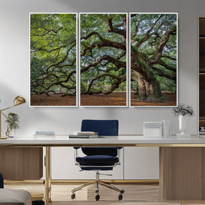 Historic Tree Wall Art – Framed Mossy Branch Canvas Artwork,