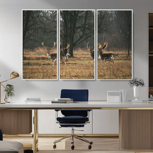 Deer Wall Art Canvas Print – Framed Rustic Wildlife Stags