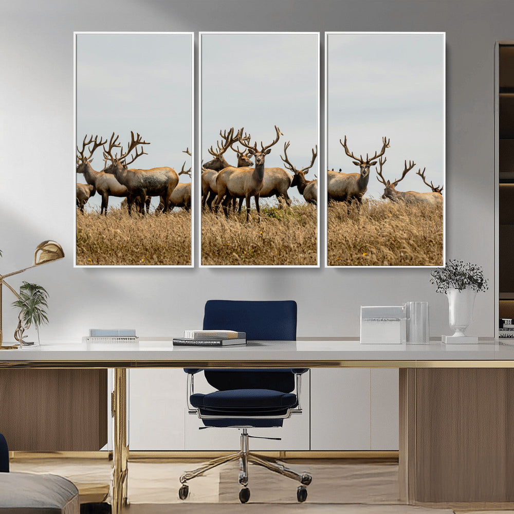 Elk Herd Wall Art Canvas Print – Framed Wildlife Photography