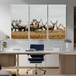 Elk Herd Wall Art Canvas Print – Framed Wildlife Photography