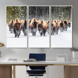 American Bison Herd Wall Art Canvas Print – Powerful Winter