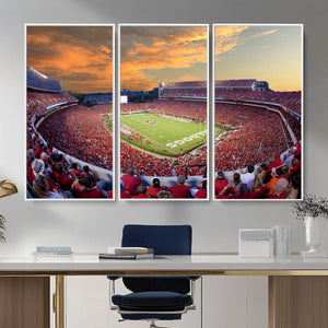 Dooley Stadium Wall Art, Sports Arena Canvas Print, Dooley