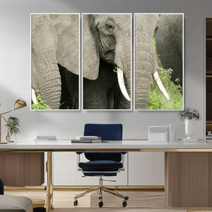 Wild Elephant Wall Art Canvas Print
