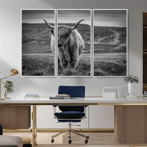 Fluffy Cattle Wall Art Print, Highland Cow Canvas, Framed