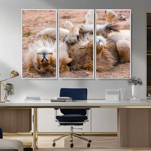 Lion Pair Wall Art Canvas Print – Framed Wildlife Scene with