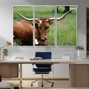 Longhorn Steer Canvas Wall Art – Rustic Nature Triptych