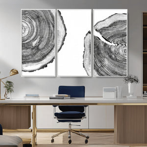 Abstract Large Tree Rings – Minimalist Black and White Wood