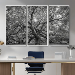 Majestic Angel Oak Tree Black and White Canvas Print – Multi