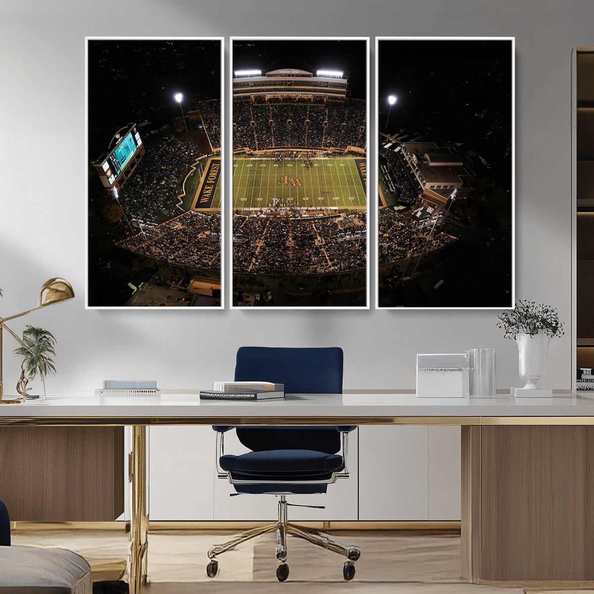 Wake Forest University Demon Deacons Canvas Printi, Football