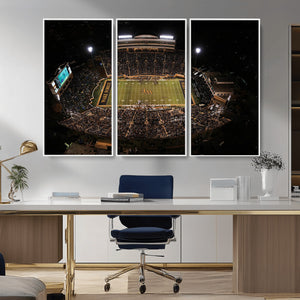 Wake Forest University Demon Deacons Canvas Printi, Football