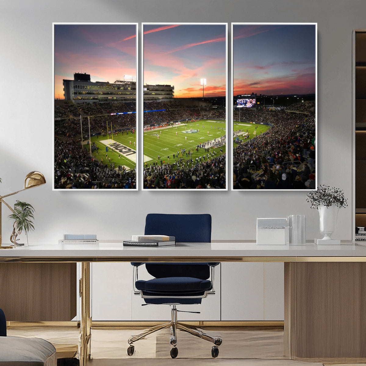 The University of Connecticut UCONN Huskies Football Team
