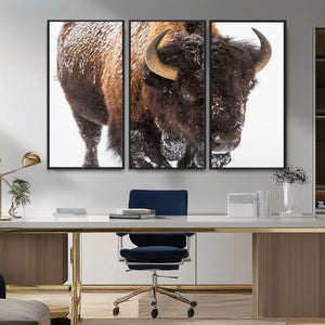 Bison Wall Art Canvas Print For Farmhouse, Wild Animal Wall